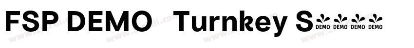 FSP DEMO   Turnkey S字体转换